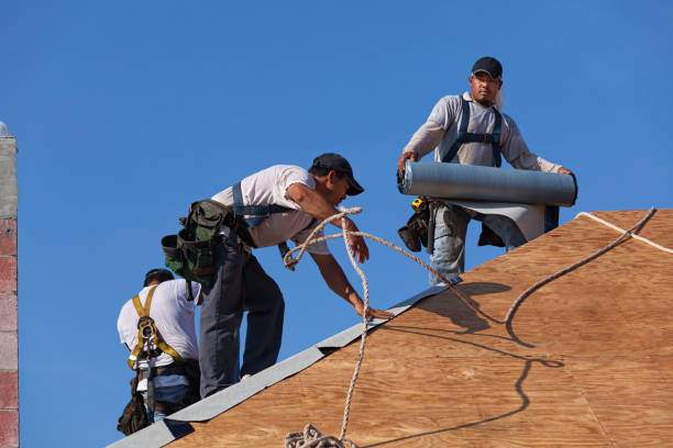 Best Residential Roofing Contractor  in Nashotah, WI
