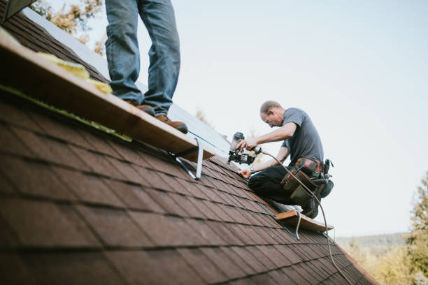 Best Roof Repair Services  in Nashotah, WI